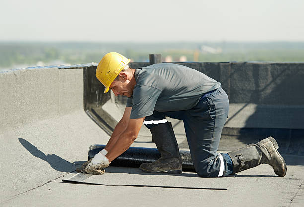 Best Cellulose Insulation in North Hills, NY