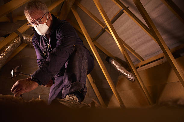 Best Energy Efficiency Insulation in North Hills, NY